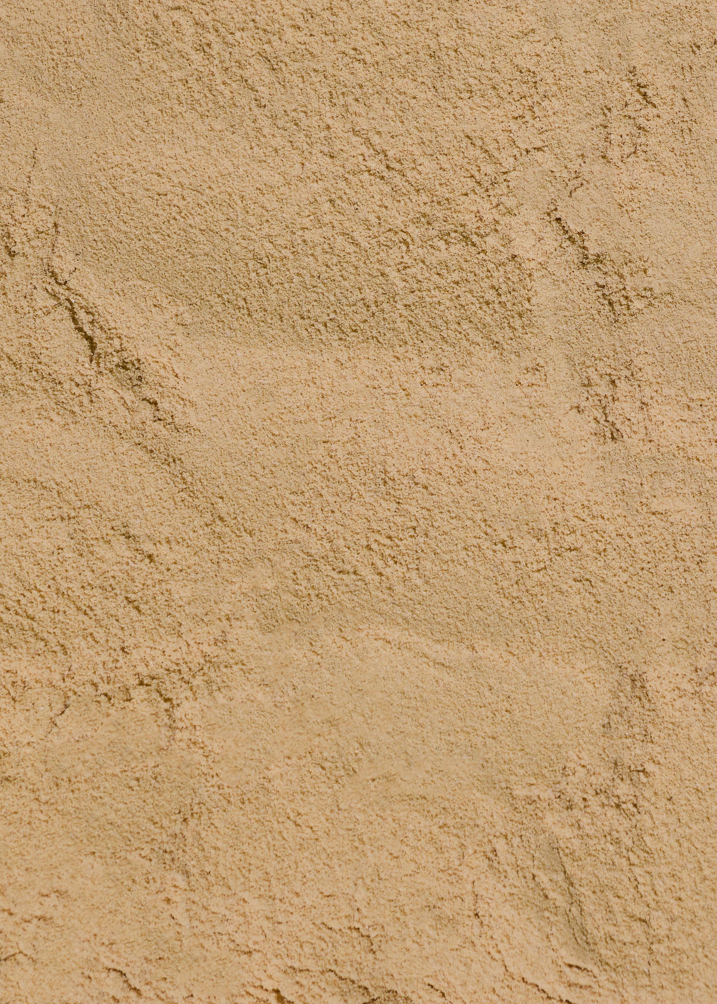 Vegan Protein Powder Creamy Hazelnut Style 1 kg